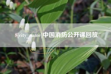 仙桃中国消防公开课回放