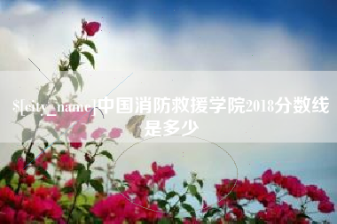 仙桃中国消防救援学院2018分数线是多少
