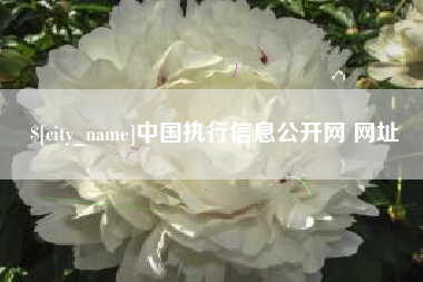 仙桃中国执行信息公开网 网址