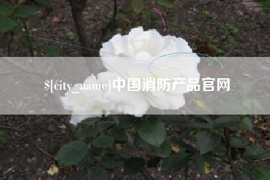 仙桃中国消防产品官网