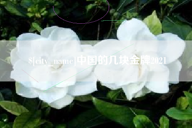 仙桃中国的几块金牌2021