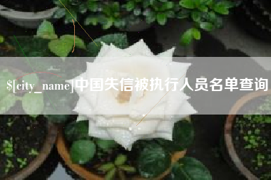 仙桃中国失信被执行人员名单查询