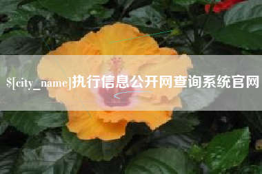 仙桃执行信息公开网查询系统官网