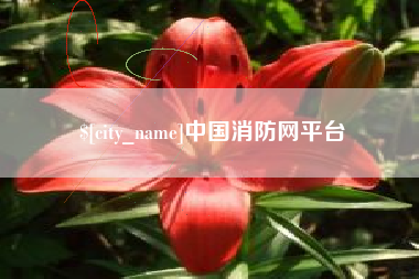 仙桃中国消防网平台