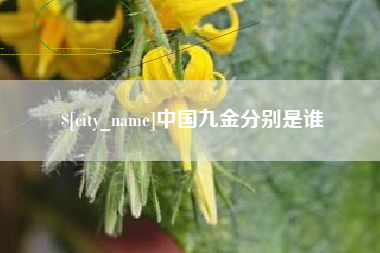 仙桃中国九金分别是谁