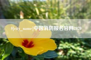 仙桃中国消防报名官网2020