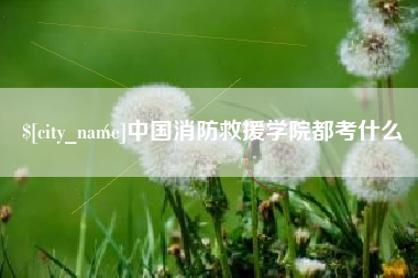 仙桃中国消防救援学院都考什么