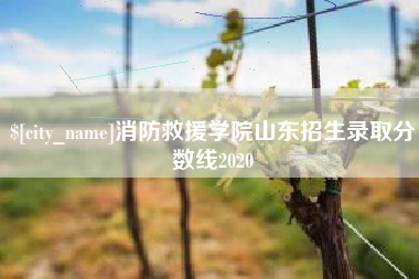 仙桃消防救援学院山东招生录取分数线2020