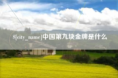 仙桃中国第九块金牌是什么