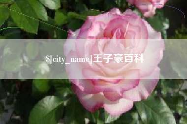 仙桃王子豪百科