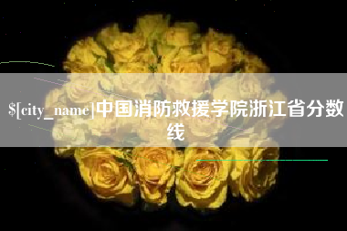 仙桃中国消防救援学院浙江省分数线