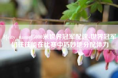 仙桃5000米世界冠军配速-世界冠军们往往能在比赛中巧妙地分配体力