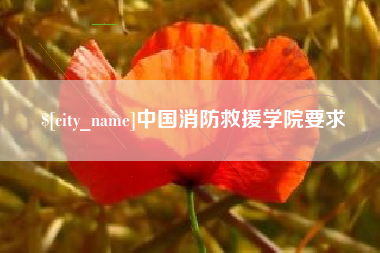 仙桃中国消防救援学院要求