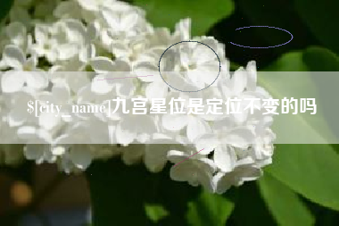 仙桃九宫星位是定位不变的吗