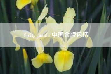 仙桃中国金牌包括