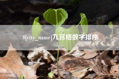 仙桃九宫格数字排序