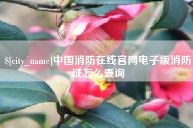 仙桃中国消防在线官网电子版消防证怎么查询