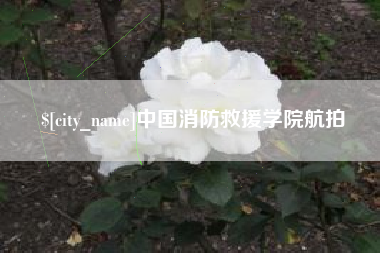 仙桃中国消防救援学院航拍