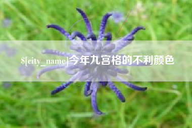 仙桃今年九宫格的不利颜色