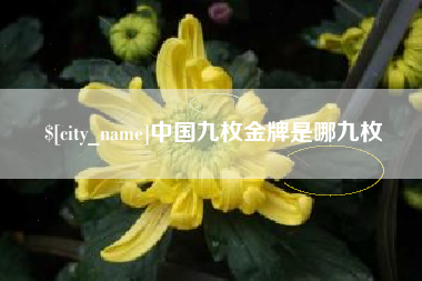 仙桃中国九枚金牌是哪九枚
