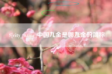 仙桃中国九金是哪九金的简称