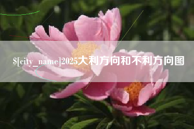 仙桃2025大利方向和不利方向图
