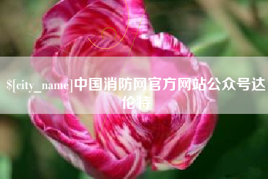 仙桃中国消防网官方网站公众号达伦特