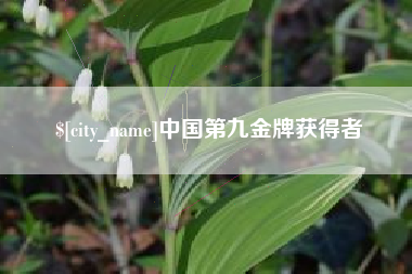 仙桃中国第九金牌获得者