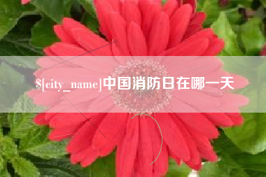 仙桃中国消防日在哪一天