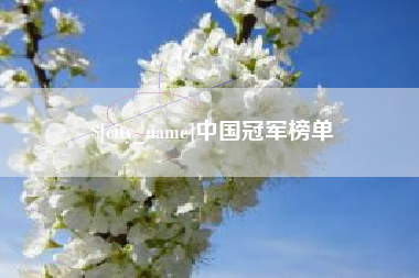 仙桃中国冠军榜单