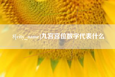 仙桃九宫宫位数字代表什么