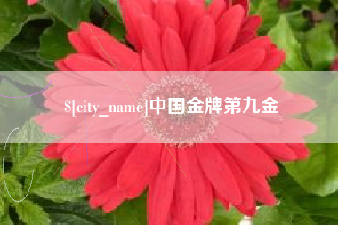 仙桃中国金牌第九金