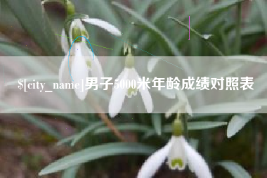 仙桃男子5000米年龄成绩对照表