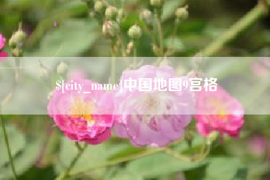 仙桃中国地图9宫格