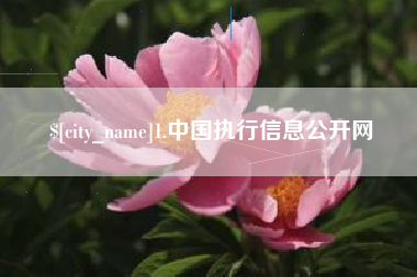 仙桃1.中国执行信息公开网