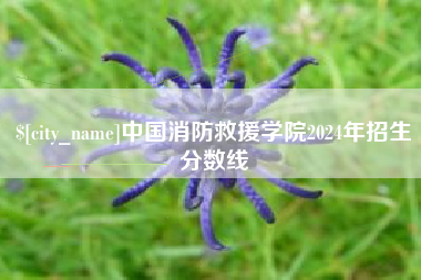 仙桃中国消防救援学院2024年招生分数线