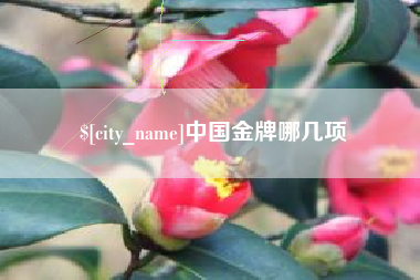 仙桃中国金牌哪几项