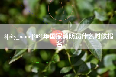 仙桃2021年国家消防员什么时候报名