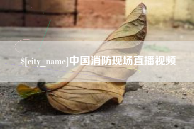 仙桃中国消防现场直播视频