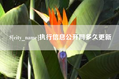 仙桃执行信息公开网多久更新