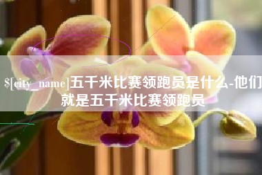 仙桃五千米比赛领跑员是什么-他们就是五千米比赛领跑员