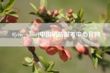 仙桃中国消防报考中心官网