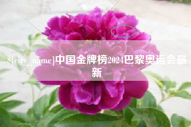 仙桃中国金牌榜2024巴黎奥运会最新