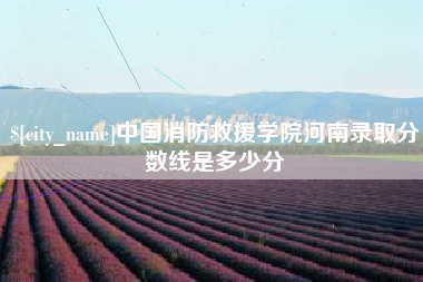 仙桃中国消防救援学院河南录取分数线是多少分