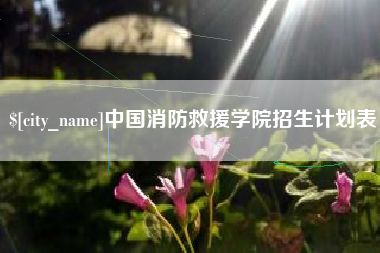 仙桃中国消防救援学院招生计划表