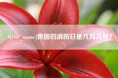 仙桃我国的消防日是几月几号？
