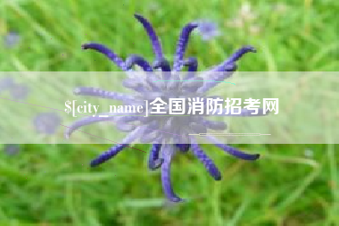 仙桃全国消防招考网