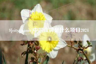 仙桃中国金牌是什么项目2024