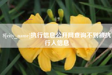 仙桃执行信息公开网查询不到被执行人信息