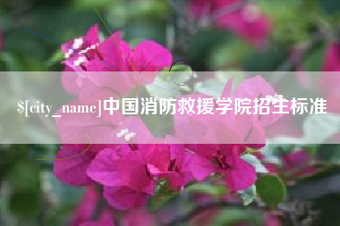 仙桃中国消防救援学院招生标准